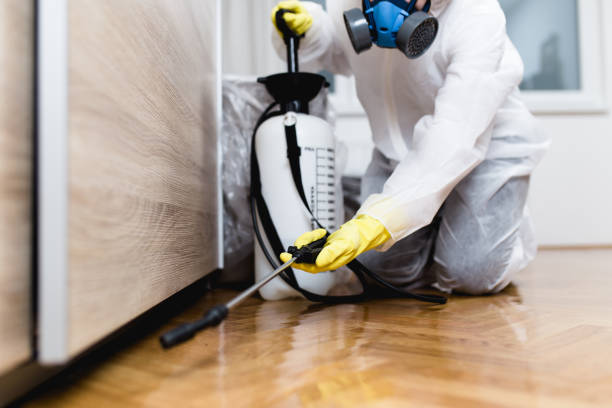 Best Flea Control Services  in Fort Sumner, NM