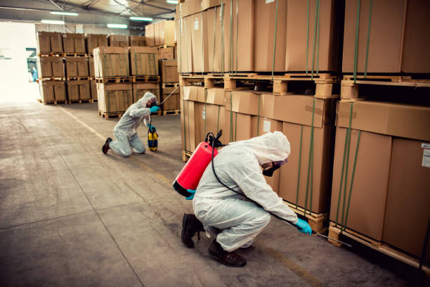  Fort Sumner, NM Pest Control Pros
