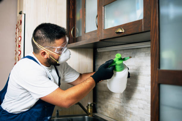 Flea Control Services in Fort Sumner, NM