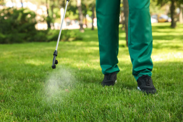 Best Pest Inspection Near Me  in Fort Sumner, NM