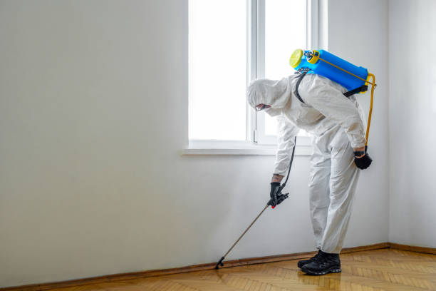 Best Ant Control Services  in Fort Sumner, NM