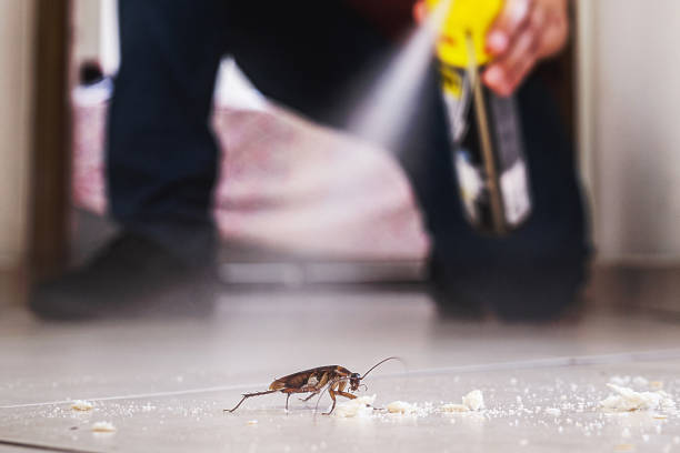 Best Rat Extermination Near Me  in Fort Sumner, NM