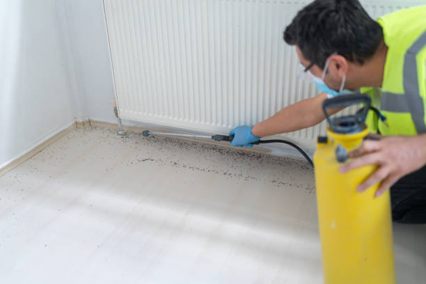 Fort Sumner, NM Pest Control Company