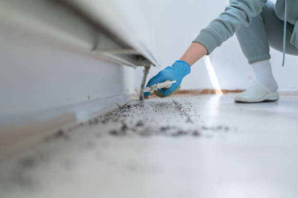 Best Pest Control for Businesses  in Fort Sumner, NM