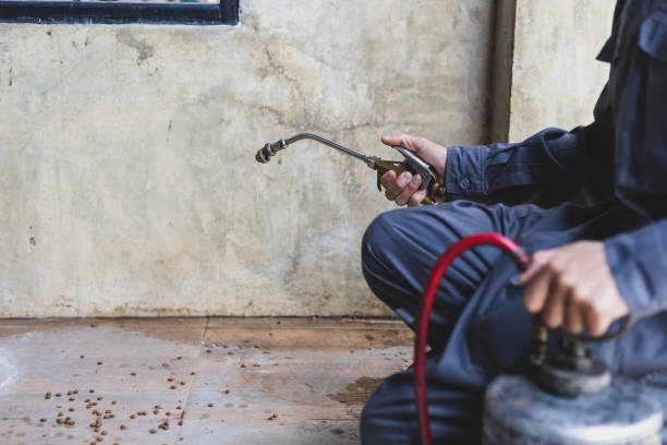 Best Pest Prevention Services  in Fort Sumner, NM